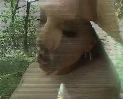 Vid Os Pornos Celine Bara Anal Xhamster