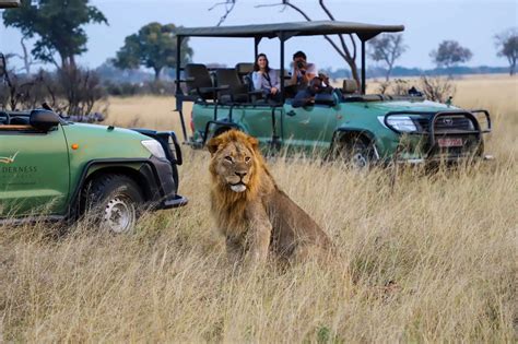 Days Masai Mara Luxury Safari Tour Go Masai Mara Safari Tours