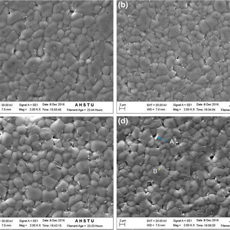 SEM Micrographs Of Composite 1 X SrZn2 PO4 2xTiO2 Ceramics Sintered