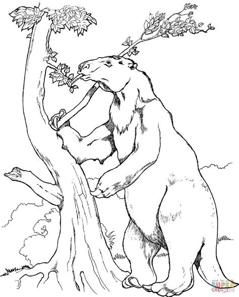 Sloth Coloring Page Sloths Coloring Pages Free Coloring Pages