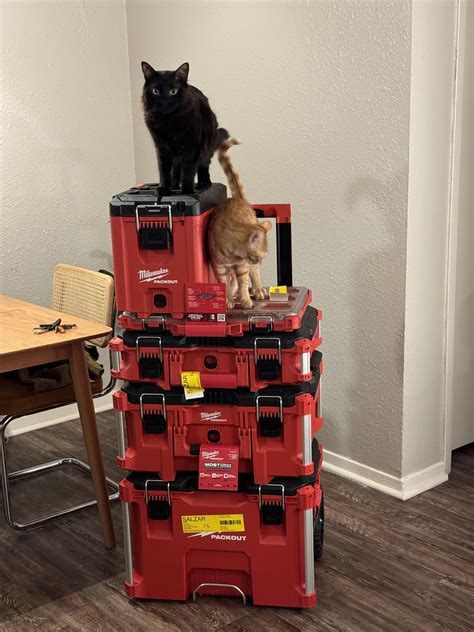 Finally Pulled The Trigger Rmilwaukeetool