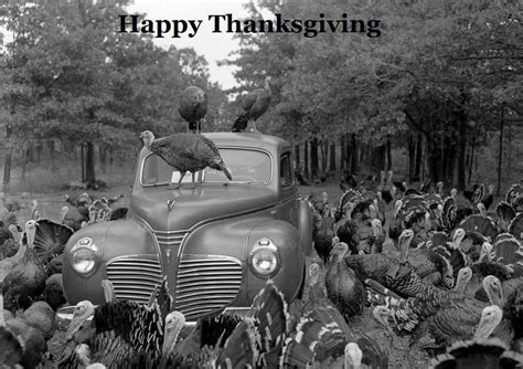 Hot Rods CDN HAMBers Happy Thanksgiving The H A M B