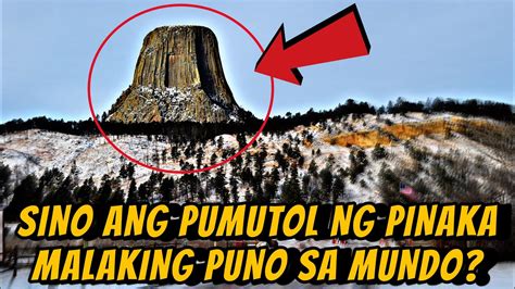 Sino Ang Nagputol Ng Pinakamalaking Puno Sa Buong Mundo