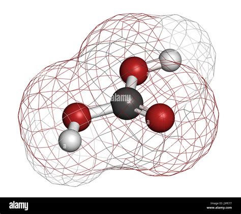 Arriba 103 Foto Donde Se Encuentra El Acido Carbonico Cena Hermosa