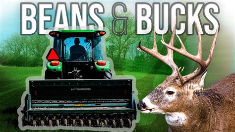 Bean Planting How To Grow The Best Soybeans For Whitetails Deer