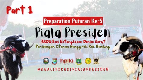 Preparation Putaran Ke Piala Presiden Skdg Seni Ketangkasan Domba