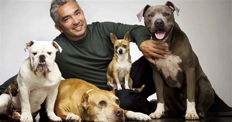 Dog Whisperer Cesar Millan Accused of Animal Cruelty