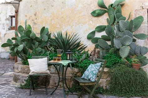 Ein Mediterraner Garten 26 Ideen Zum Nachmachen Homify