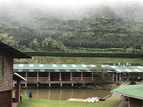 Campamento Vida Joven La Finca El Diario Nica