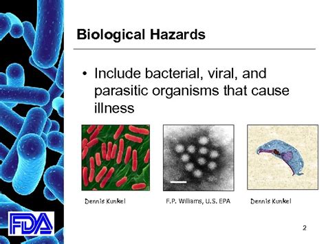 Food Safety Hazards 1 Biological Hazards