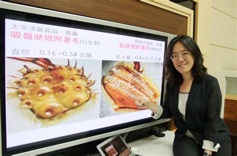 【興新聞媒體公關組】揭開水生甲蟲求偶與求生的奧祕 興大生物力學研究受國際媒體矚目 國立中興大學national Chung Hsing