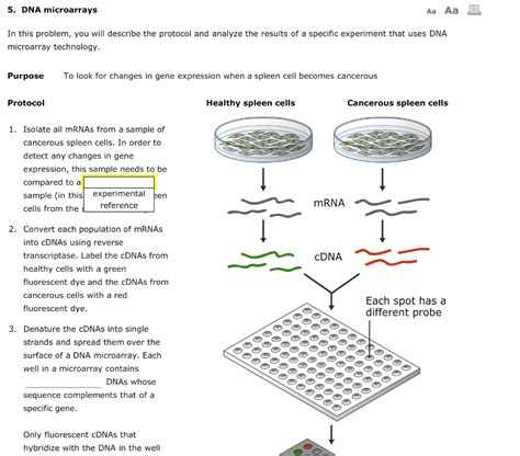 Solved 5 DNA Microarrays Aa Aa In This Problem You Will Chegg