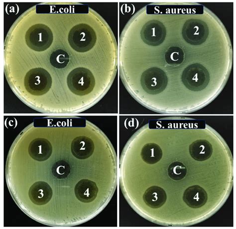 Zone Of Inhibition ZOI Of Samples C 1 2 3 And 4 Containing