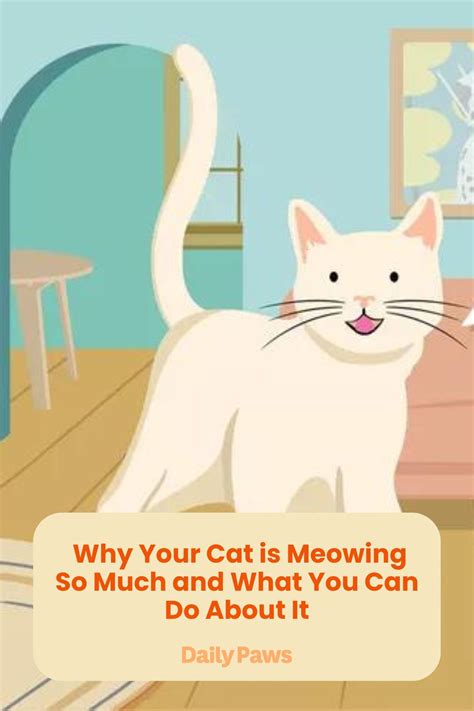 Reasons Why Your Cat Is Meowing So Much Artofit