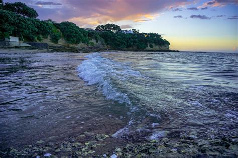 West neck beach visitors are seeing major environmental restoration efforts 17