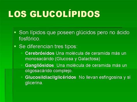 Tema Los Lpidos Caractersticas Generales Son Biomolculas