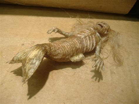 Feejee Fiji Mermaid Sideshow Gaff Freak Etsy