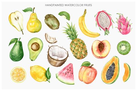 Tropical Fruits Drawing