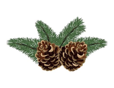 Pine Cone Vector Art, Icons, and Graphics for Free Download