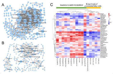 Correlation Network Analyses Of Metabolites Networks Indicating Download Scientific Diagram