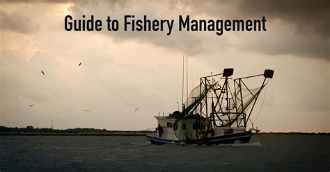 Fishery Management Guide — Part 1 Why Fishery Management Is Necessary