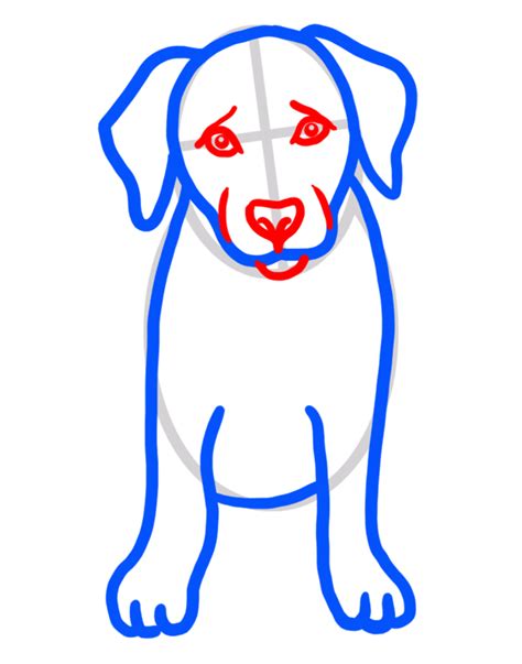 Learn How To Draw A Golden Retriever Drawing Easy To Draw Everything