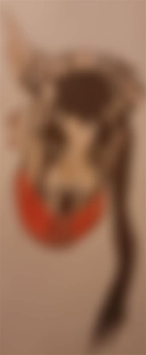 "Art" : r/Boruto