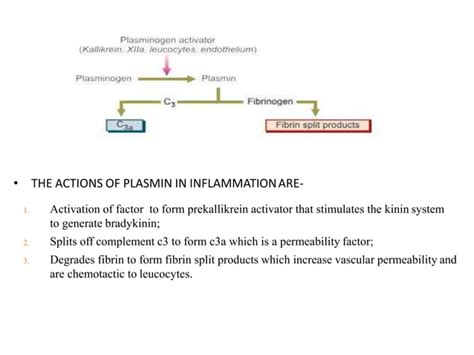 Chemical Mediators Of Inflammation Ppt