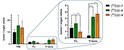 Tumor To Organ Ratios For The Most Relevant Organs Tumor Muscle