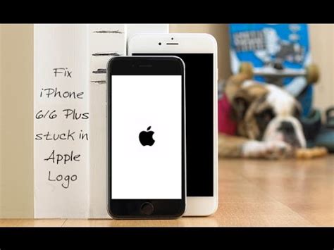 How To Fix IPhone 6 6 Plus Stuck On Apple Logo Screen YouTube