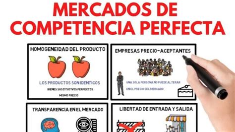 Competencia Perfecta Qu Es Definici N Y Concepto