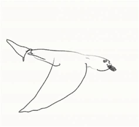 Bird Flying S