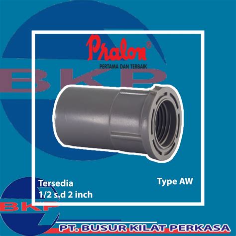 Jual Sdd 1 2 Inch Aw Pvc Pralon Sock Drat Dalam Sambungan Pipa