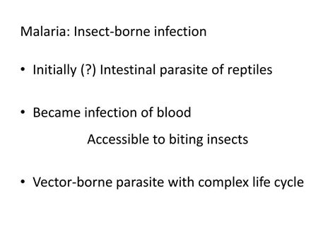 Ppt Keystone Species Powerpoint Presentation Free Download Id2766766