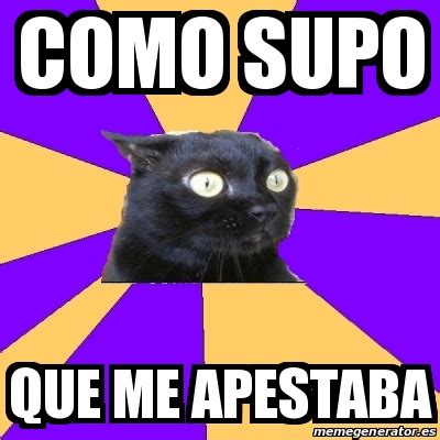 Meme Anxiety Cat Como Supo Que Me Apestaba 22298595