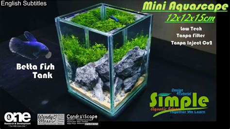 Step By Step Low Tech Mini Aquascape Soliter Tank Cupang 43 Youtube