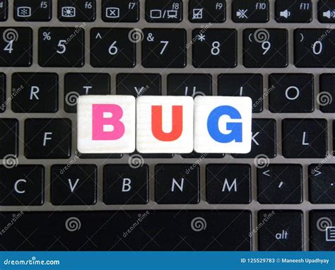 Word Bug On Keyboard Background Stock Image Image Of Keyboard