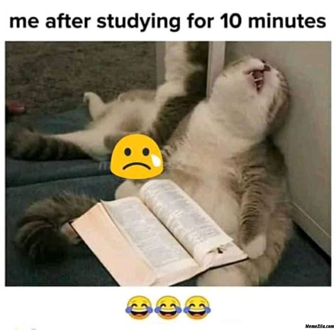 Study Memes - MemeZila.com