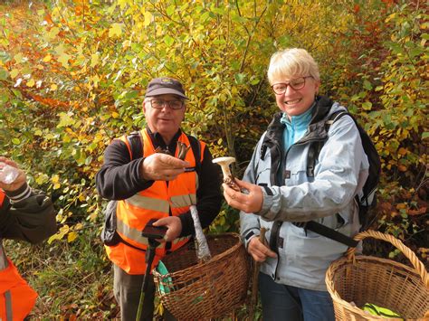 Mycologie Sassenage