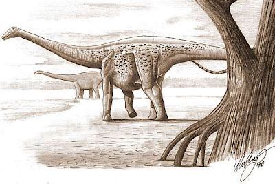 Fóssil anão da Transilvânia na evolução Dinos Tephix