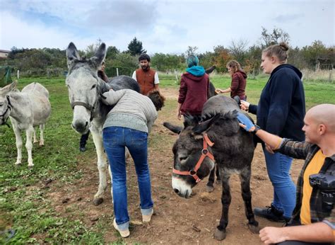 Eulmont La Compagnie des Ânes pratique la médiation animale