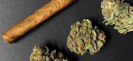 What are Blunts - Blunt vs Joint | Verilife