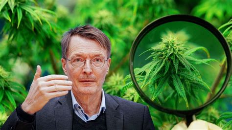 Cannabis Gesetz Für viele Kiffer bleibt nur der Schwarzmarkt