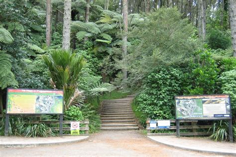 Papamoa Hills Regional Park | An awesome walking experience