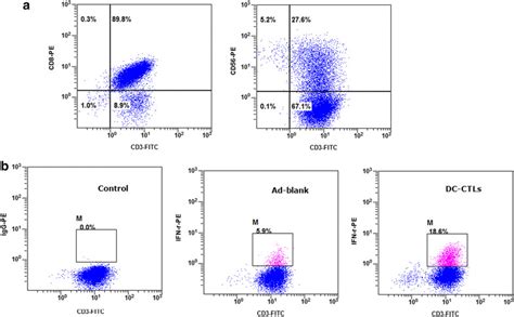 Detection Of Ciks Ctls And Intracellular Ifn In T Cells By Flow