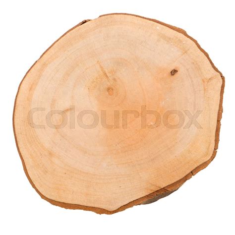 Wood Log Slice Stock Image Colourbox