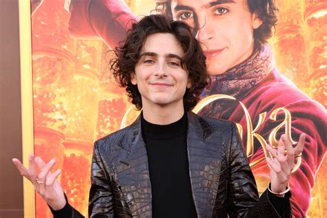 Timoth E Chalamet In Tom Ford At The Wonka Los Angeles Premiere Tom