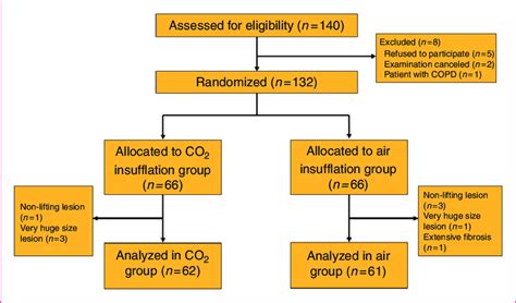 Patients Flow Chart COPD Chronic Obstructive Pulmonary Disease CO 2