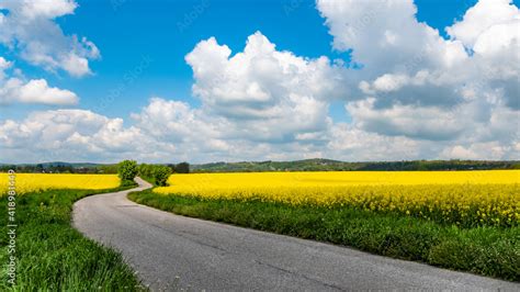 rzepak droga pola jura małopolska Stock Photo Adobe Stock