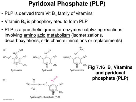 PPT Chapter 7 Coenzymes And Vitamins PowerPoint Presentation ID